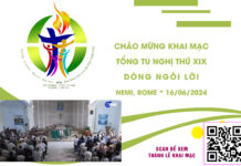 Chào mừng TỔNG TU NGHỊ XIX của DÒNG NGÔI LỜI (16/06 – 14/07/2024)