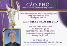 AI TÍN: Bà cố Têrêxa Phạm Thị Quắn (Thân mẫu của Lm. Phanxicô X. Phạm Đình Tuấn (SVD – Thái Lan)