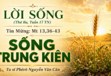 LỜI SỐNG (Thứ Ba, Tuần 17 TN)