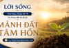 LỜI SỐNG (Thứ Sáu, Tuần 16 TN)