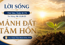 LỜI SỐNG (Thứ Sáu, Tuần 16 TN)