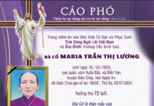AI TÍN: Bà cố Maria TRẦN THỊ LƯƠNG (thân mẫu của Tu sĩ Phêrô Phan Văn Thắng, SVD)