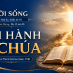LỜI SỐNG (Thứ Ba, Tuần 16 TN)