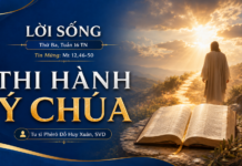 LỜI SỐNG (Thứ Ba, Tuần 16 TN)