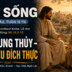 LỜI SỐNG (Thứ Sáu, Tuần 19 TN)