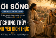 LỜI SỐNG (Thứ Sáu, Tuần 19 TN)