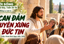 LỜI SỐNG (Thứ Bảy, Tuần 28 TN)