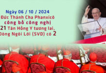 Đức Thánh Cha Phanxicô công bố công nghị tấn phong 21 Tân Hồng Y