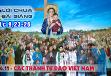 Lời Chúa + Bài giảng Lễ Các Thánh Tử Đạo Việt Nam 24/11