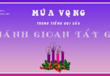 CĐ. TRIẾT HỌC TĨNH TÂM MÙA VỌNG 2024