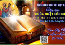 Hưởng ứng Chúa Nhật Lời Chúa lần thứ VI (26/01/2025)