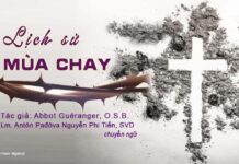 CHƯƠNG I: LỊCH SỬ MÙA CHAY