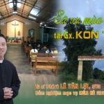 loi-he2024-cover