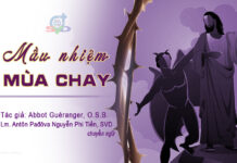 CHƯƠNG II: MẦU NHIỆM CỦA MÙA CHAY