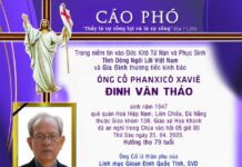 AI TÍN: Ông Cố Phanxicô X. Đinh Văn Thảo (thân Phụ cha Gioan Quốc Tĩnh, SVD và thầy Phêrô Quốc Thịnh, SVD)