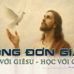 Song Don Gian