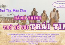 TĨNH TÂM MÙA CHAY – HÀNH TRÌNH TRỞ LẠI VỚI TRÁI TIM