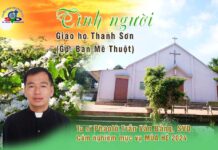 TÌNH NGƯỜI