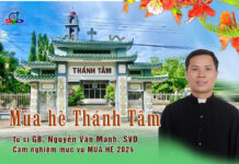 MÙA HÈ THÁNH TÂM
