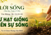 LỜI SỐNG (Thứ Hai, Tuần 17 TN)