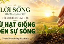 LỜI SỐNG (Thứ Hai, Tuần 17 TN)