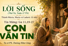 LỜI SỐNG (Thứ Tư, Tuần 17 TN)
