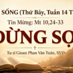 LỜI SỐNG (Thứ Bảy, Tuần 14 TN)