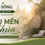 LỜI SỐNG (Thứ Tư, Tuần 16 TN)