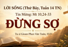 LỜI SỐNG (Thứ Bảy, Tuần 14 TN)