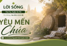 LỜI SỐNG (Thứ Tư, Tuần 16 TN)