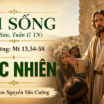 LỜI SỐNG (Thứ Sáu, Tuần 17 TN)