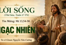 LỜI SỐNG (Thứ Sáu, Tuần 17 TN)