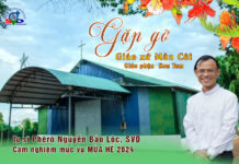 GẶP GỠ – Cảm nghiệm mục vụ mùa hè