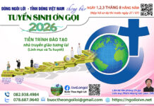 DÒNG NGÔI LỜI (SVD) THÔNG TIN TUYỂN SINH