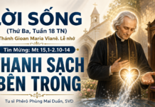 LỜI SỐNG (Thứ Ba, Tuần 18 TN)