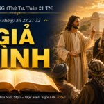 LỜI SỐNG (Thứ Tư, Tuần 21 TN)