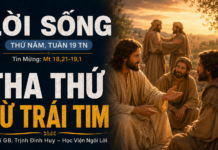 LỜI SỐNG (Thứ Năm, Tuần 19 TN)