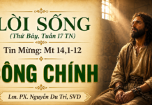 LỜI SỐNG (Thứ Bảy, Tuần 17 TN)