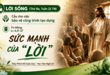 LỜI SỐNG (Thứ Ba, Tuần 22 TN)