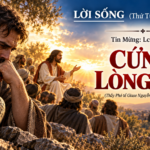 LỜI SỐNG (Thứ Tư, Tuần 24 TN)