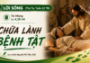 LỜI SỐNG (Thứ Tư, Tuần 22 TN)