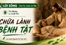 LỜI SỐNG (Thứ Tư, Tuần 22 TN)