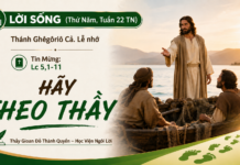 LỜI SỐNG (Thứ Năm, Tuần 22 TN)