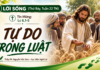 LỜI SỐNG (Thứ Bảy, Tuần 22 TN)