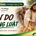 LỜI SỐNG (Thứ Bảy, Tuần 22 TN)