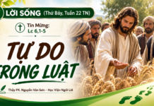 LỜI SỐNG (Thứ Bảy, Tuần 22 TN)