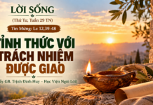 LỜI SỐNG (Thứ Tư, Tuần 29 TN)