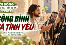 LỜI SỐNG (Thứ Tư, Tuần 28 TN)