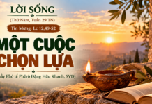 LỜI SỐNG (Thứ Năm, Tuần 29 TN)