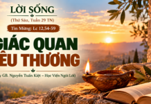 LỜI SỐNG (Thứ Sáu, Tuần 29 TN)